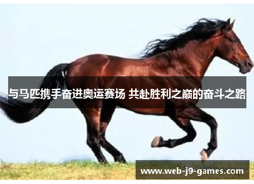 与马匹携手奋进奥运赛场 共赴胜利之巅的奋斗之路